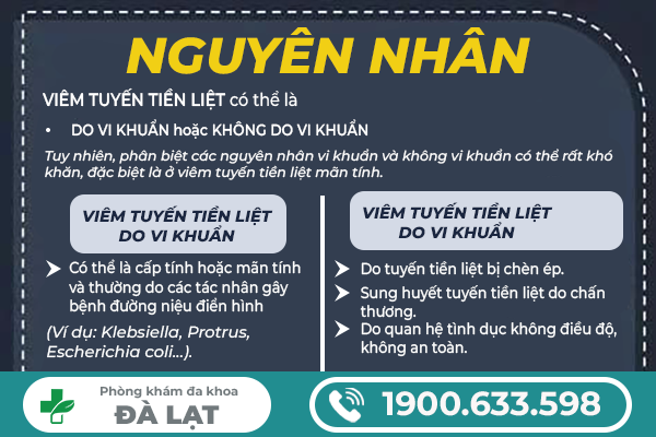 Hình ảnh minh họa